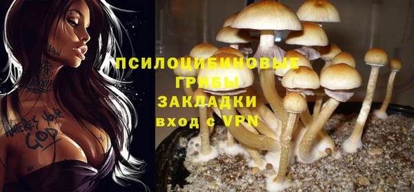 трава Нефтекумск