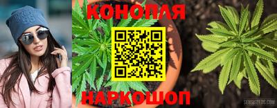 бошки Камышлов