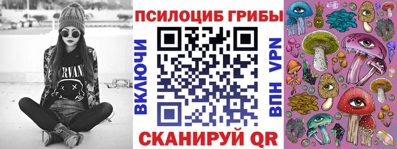hydra сайт  Черногорск  Псилоцибиновые грибы GOLDEN TEACHER 